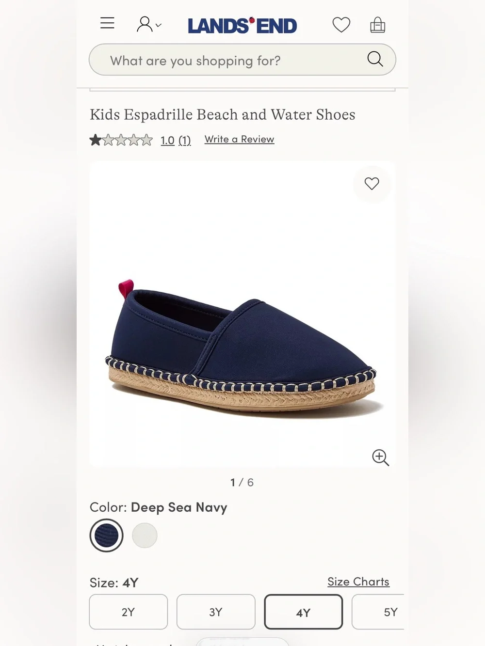 New Kids Lands End Water Shoes Size 4